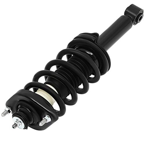 2pcs Rear Pair Complete Strut Assembly Shock Absorber for 2012 2013 2014 2015