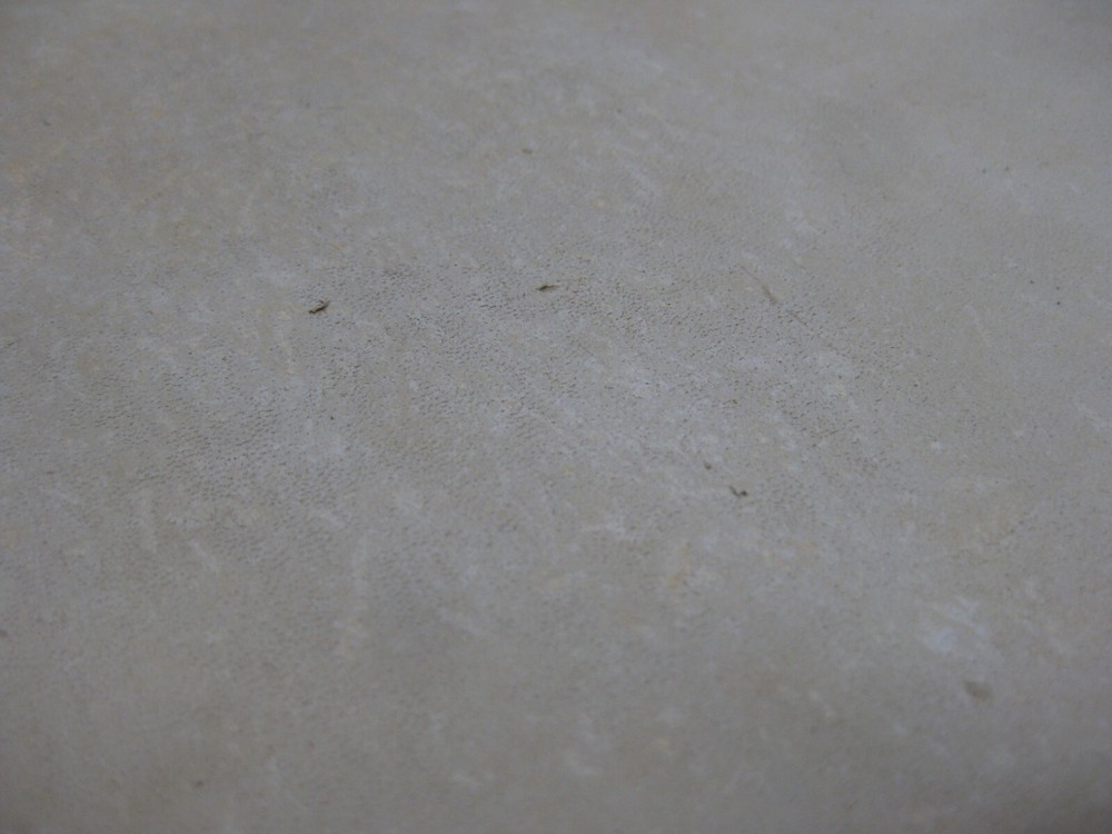 Nubuck Deer Leather # 0013617 ROW SS