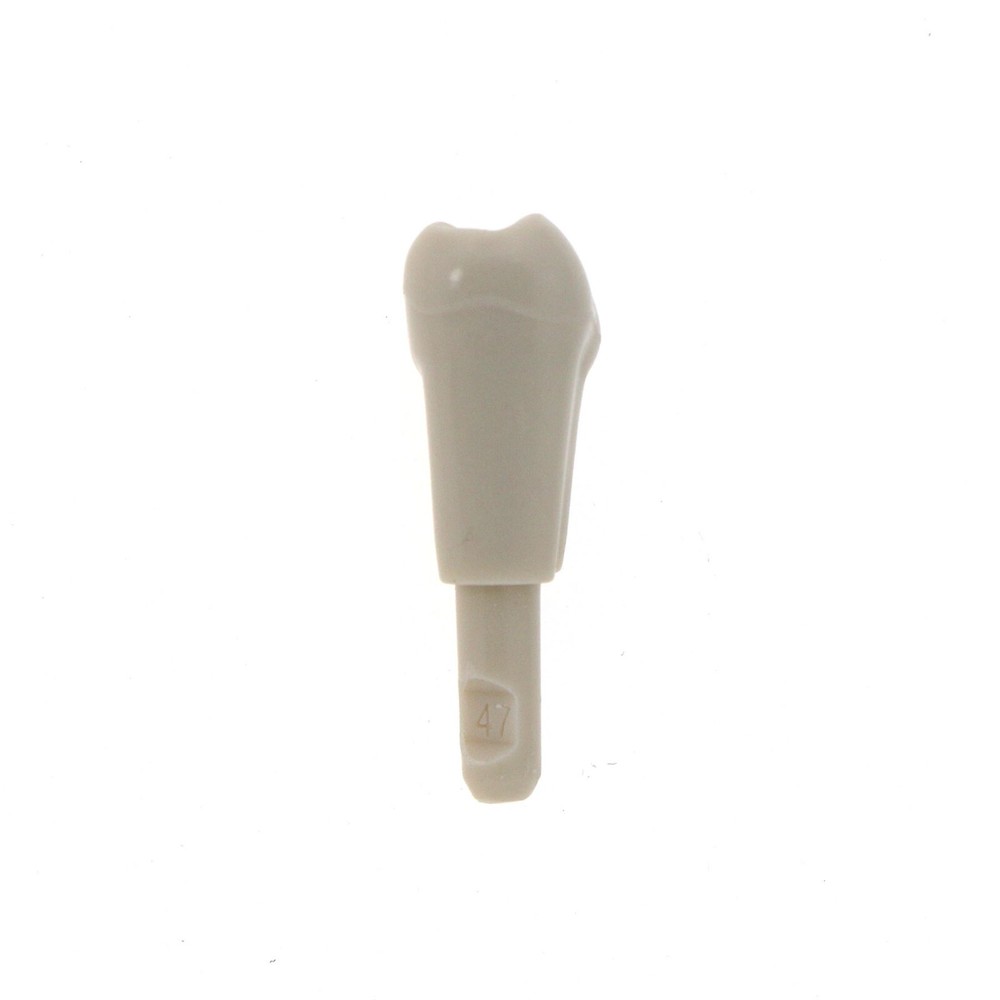 Dental Tooth Model fit for KaVo Basic Model Teeth Retention Mechanism 32 Pcs