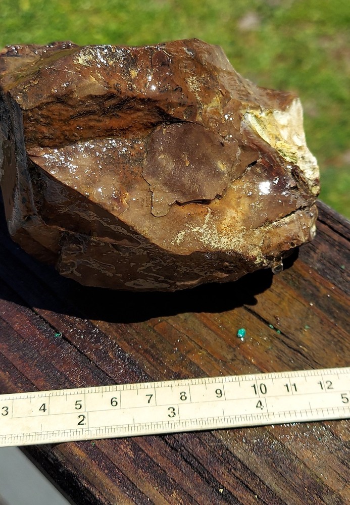 Biggs Jasper Rough Non Blue Variety