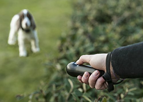 First Alert Bark Genie Handheld Bark Control Device