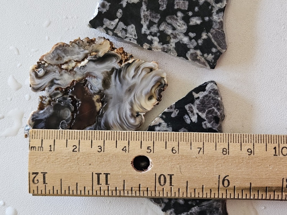Three Lapidary Slabs 108 Grams