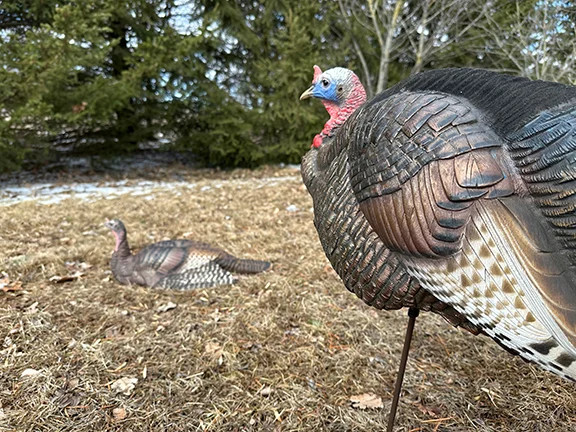 Dave Smith Decoy Turkey Flock Decoy