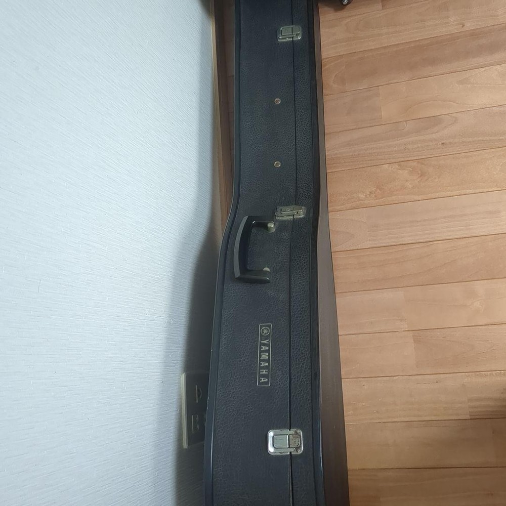 YAMAHA FG-252 with Case