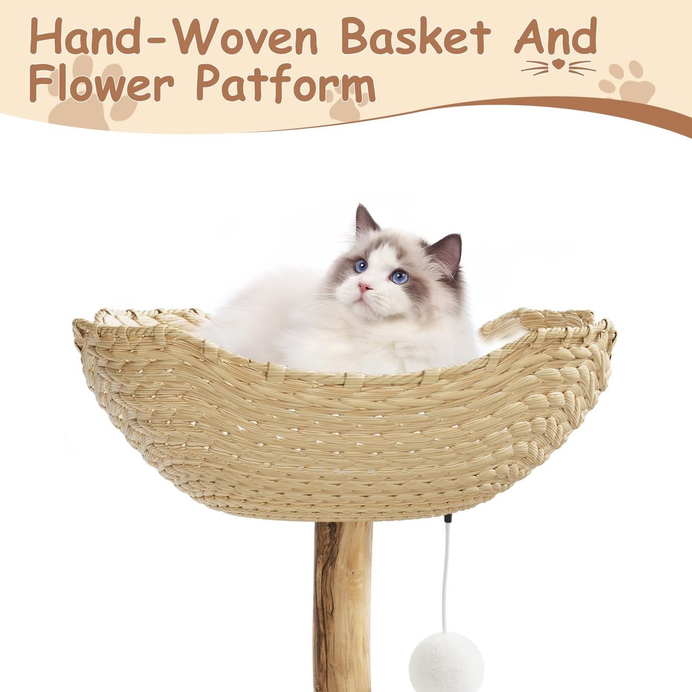 Cat Tree Tower Scratch Tree Cat Tree Cat Scratch Tree Climbing Tree No branches