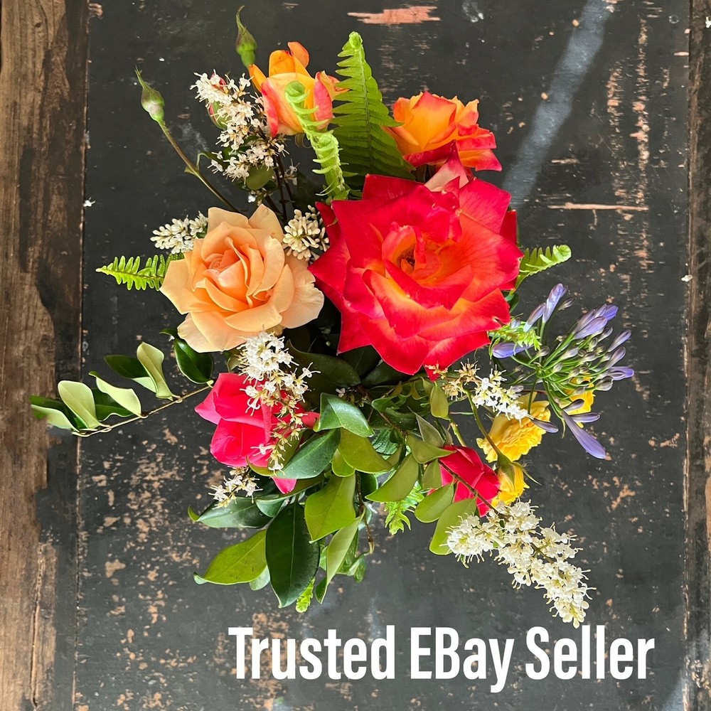 100 TINY Plastic Mini Vials Hinged Lid tablets note Container USA Tube Geocache