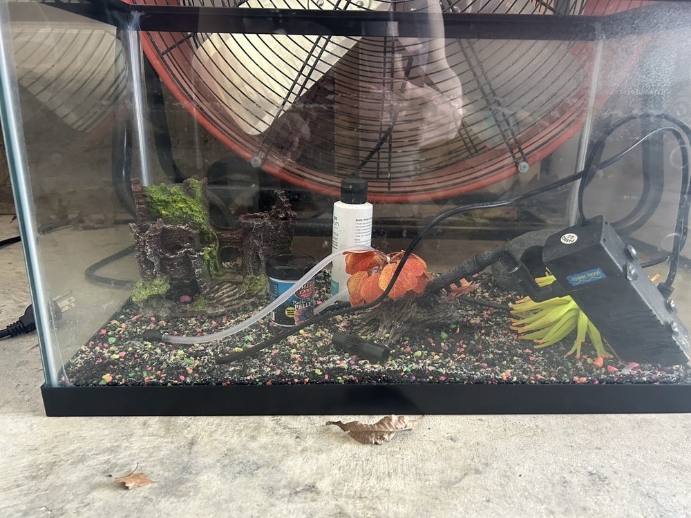 Aqua Level Glass Aquarium Tank Complete Setup Rectangle Standard