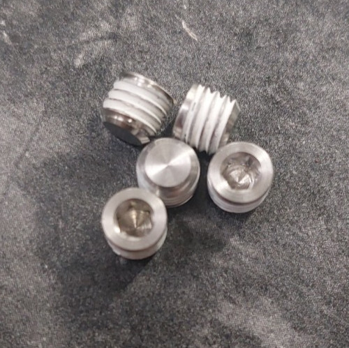 Rohloff Drain Screw (quantiy 5)