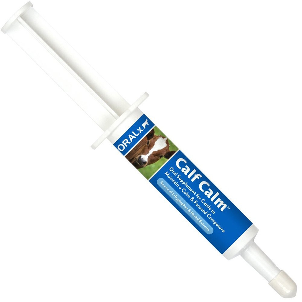 Oralx Cattle Calm Paste Show Day Cattle 1.2 oz