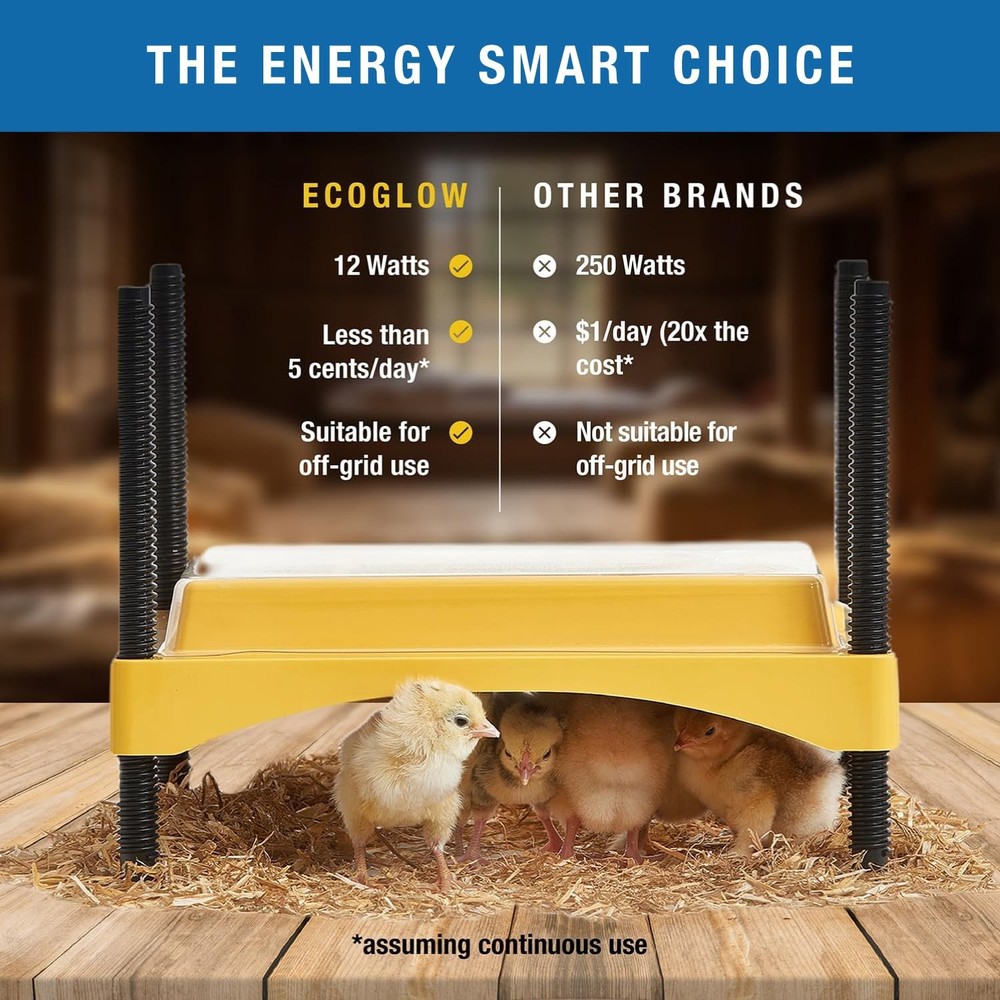 Ecoglow Safety 600 Chick or Duckling Brooder, Adjustable Height & Angle Brood...