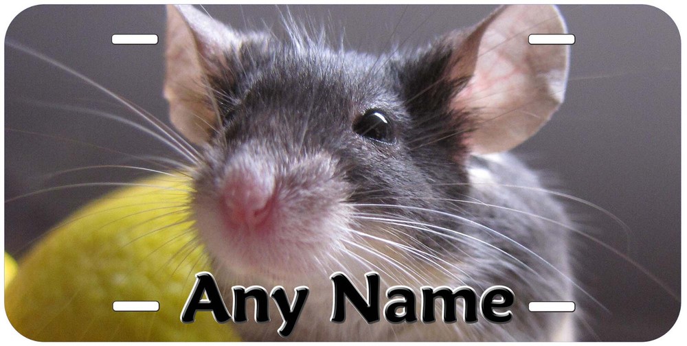 Mouse Any Name Personalized Novelty Car License Plate