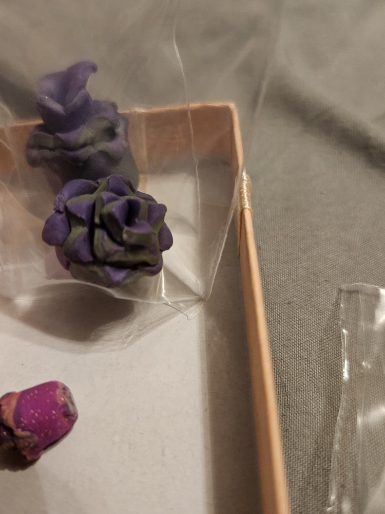 Succulent miniatures lot