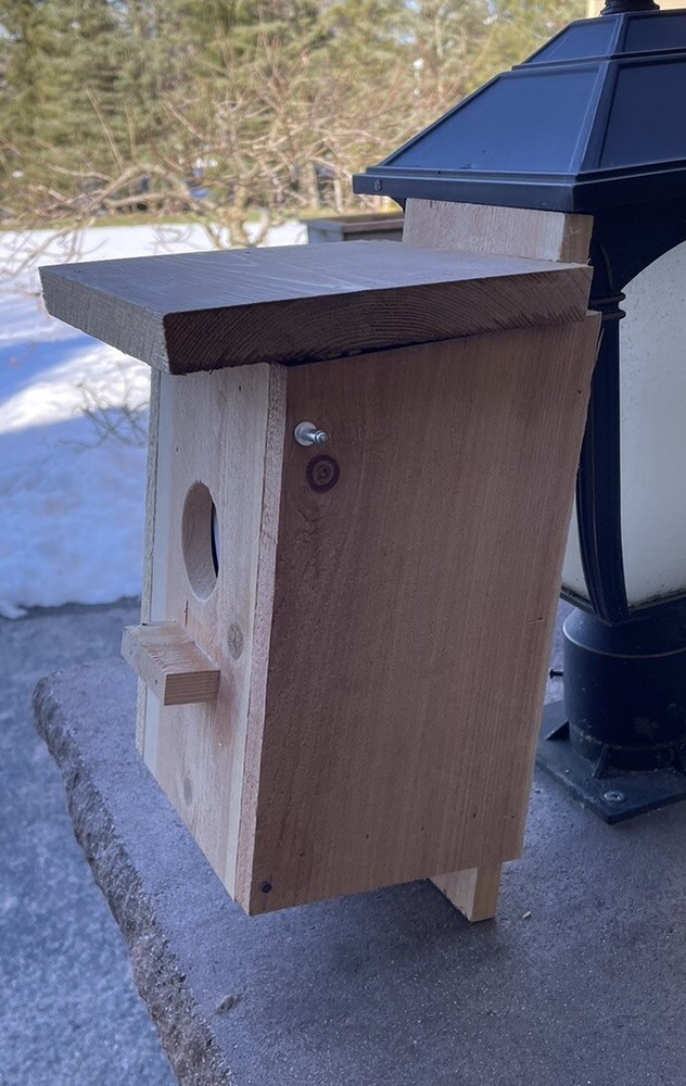 House Sparrow-Starling Nest Box Trap