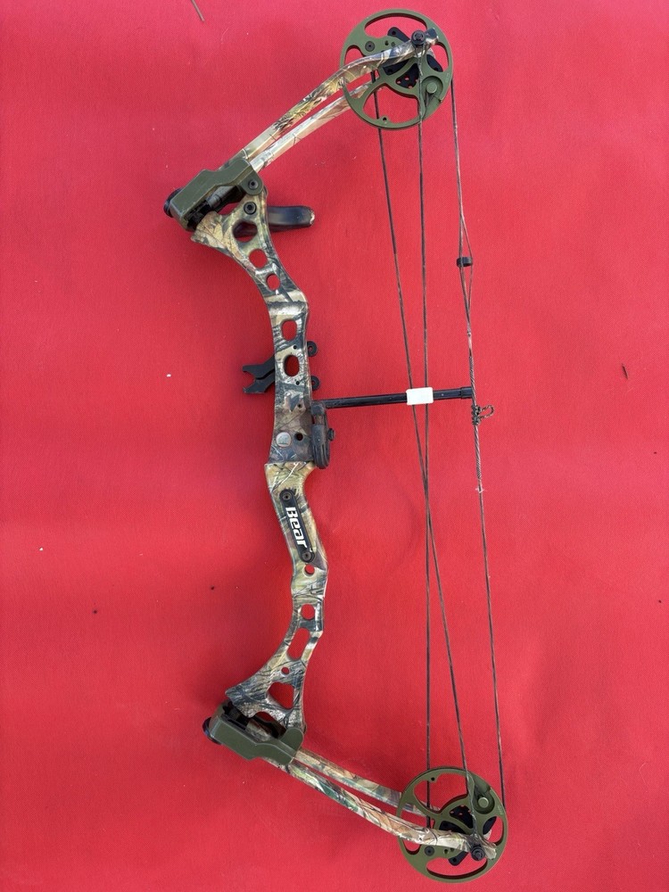 Bear Apprentice 2 Rh