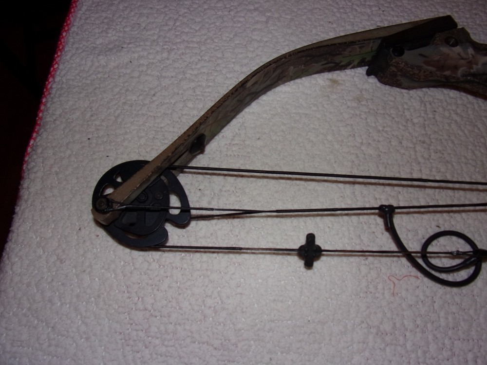 Hoyt Raptor Excel Compound Bow