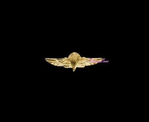 USMC Parachutist Wing + a custom promo pin