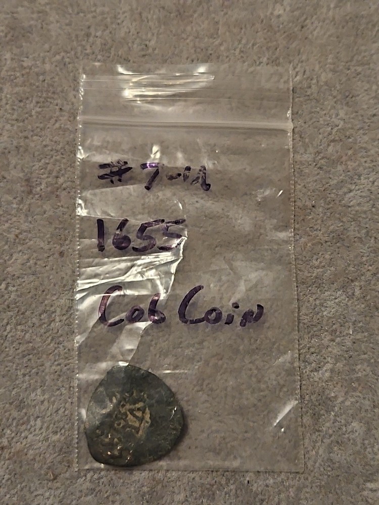 1665 Cob Coin
