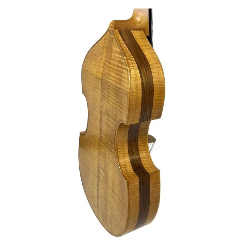 Special Offer! Song Maestro 6 string 27" viola da gamba ,carving scroll