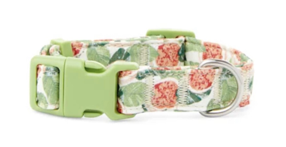 YOULY the Wanderer Fig Leaf Dog Collar, S