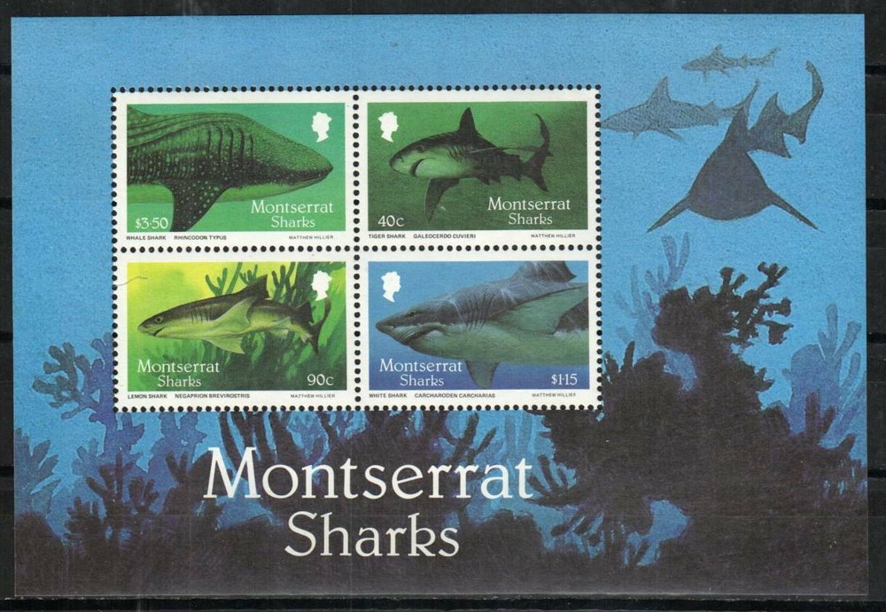 Montserrat Stamp 646a - Sharks