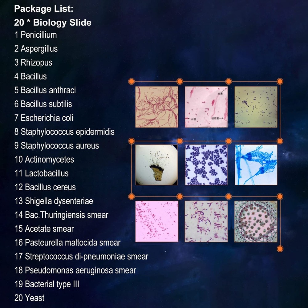 20pcs Microscope Slides Biology And Pathology Prepared Microbiological Bacter...