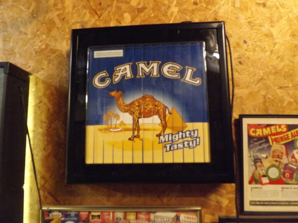 CAMEL MOVING SIGN SHOWS THREE SIGNS