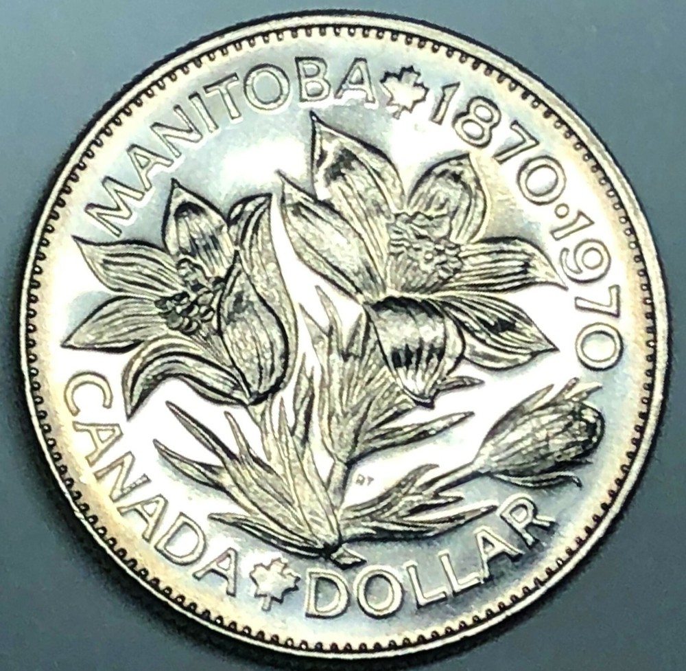 # C9317    CANADA  COIN,     DOLLAR    1970