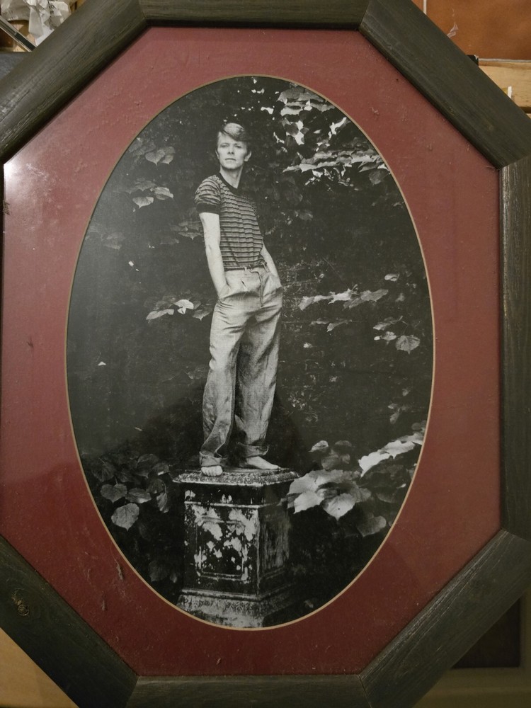 david bowie Image