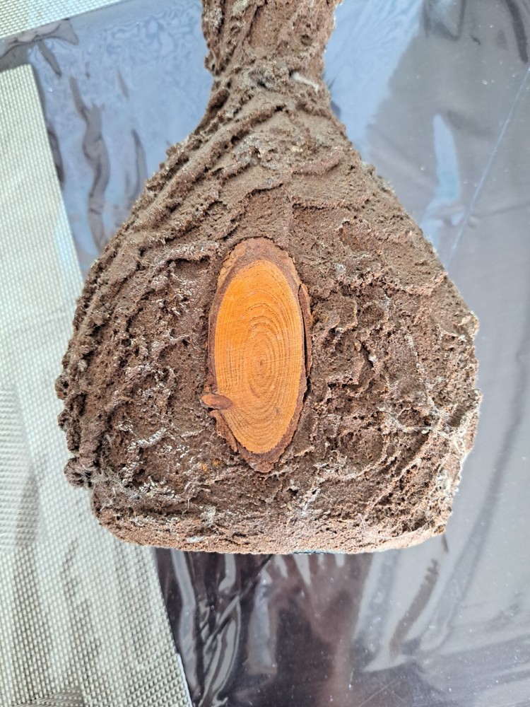 Vintage Grappa bottle from Italy