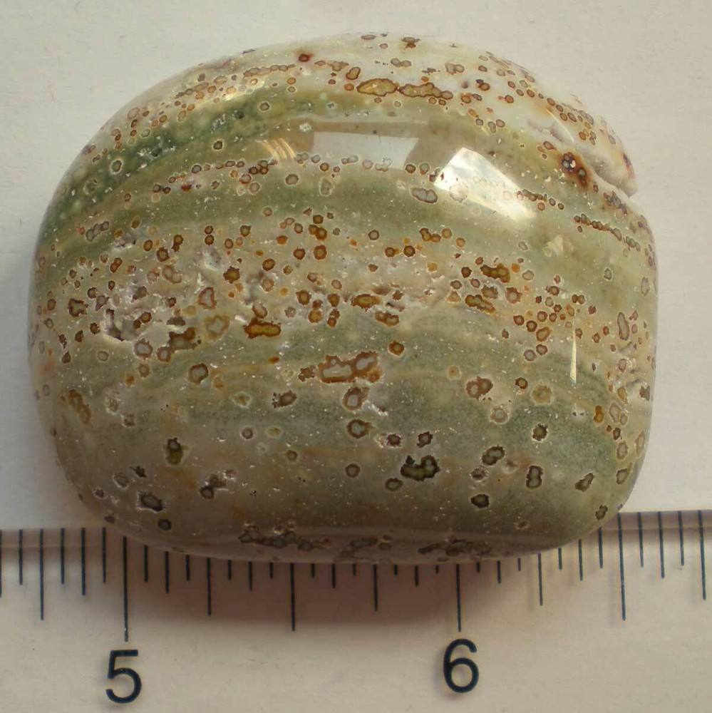Ocean Jasper Palm Stone sc687l