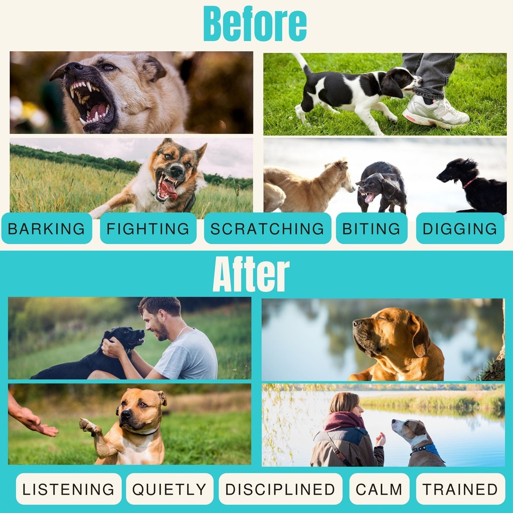 Dog Bark Deterrent - Ultrasonic Dog Training Device