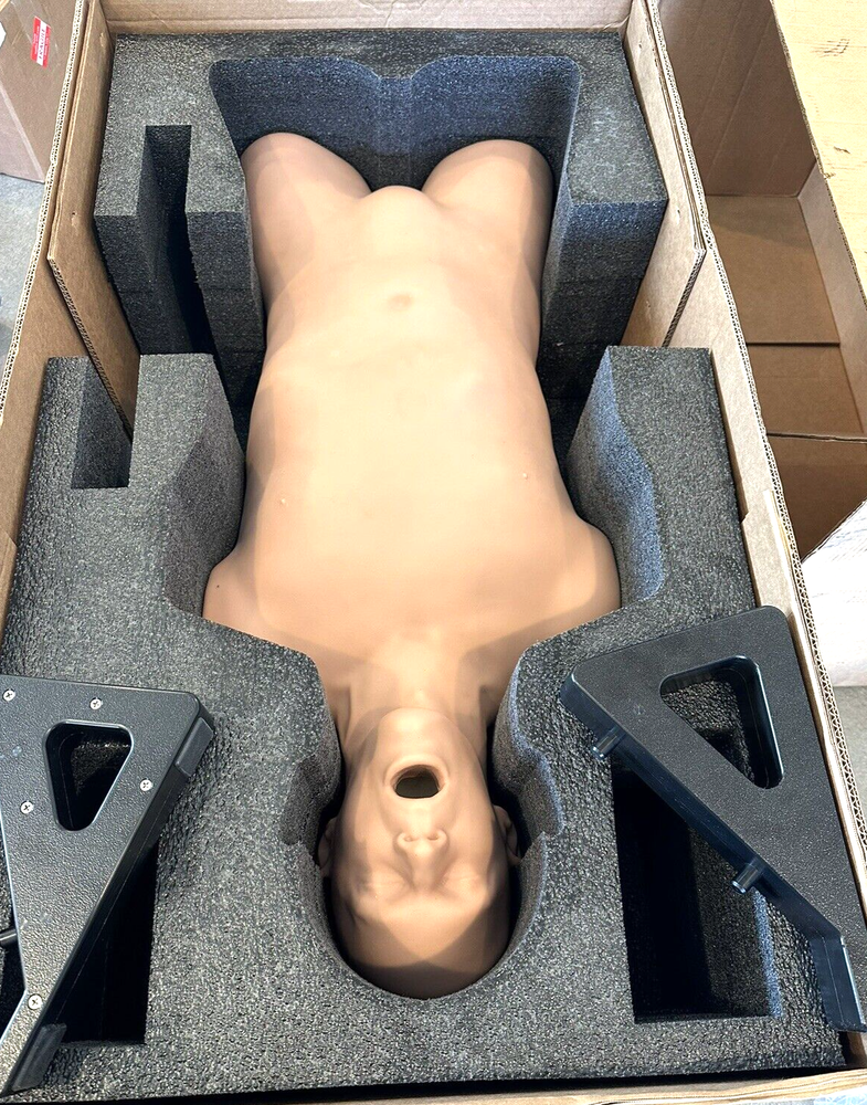CAE Blue Phantom Vimedix 3.0 Ultrasound TTE / TEE Training Manikin BOB *NEW*