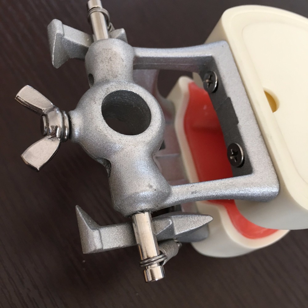Dental Study Standard Typodont Demonstration Teeth Model Kilgore Nissin Type