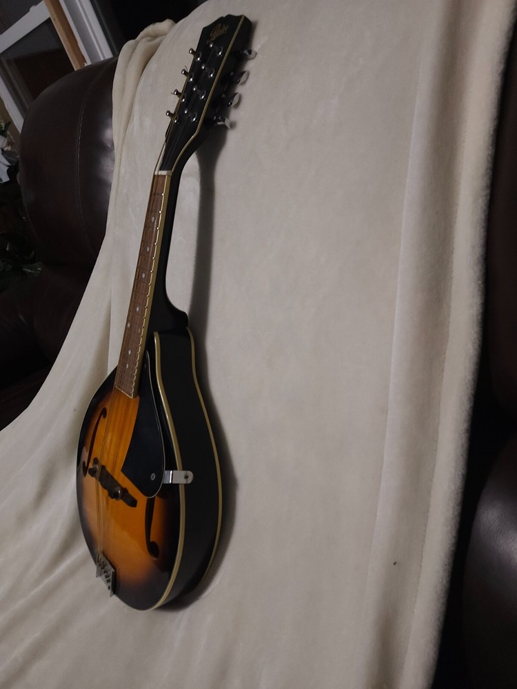 used mandolin musical instrument