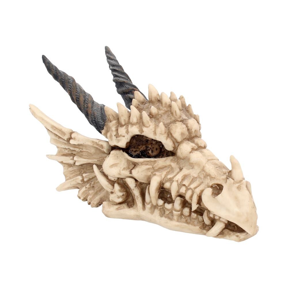 Nemesis Now Dragon Skull Box 15cm Ivory
