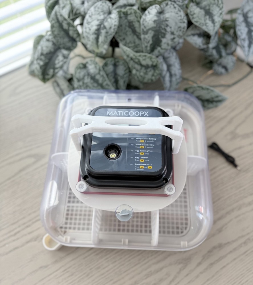 MATICOOPX INCUBATOR DIVIDER