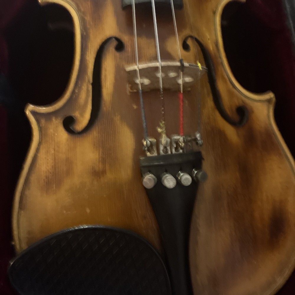 DiPalo 4/4 Violin for Beginner/Advanced Students