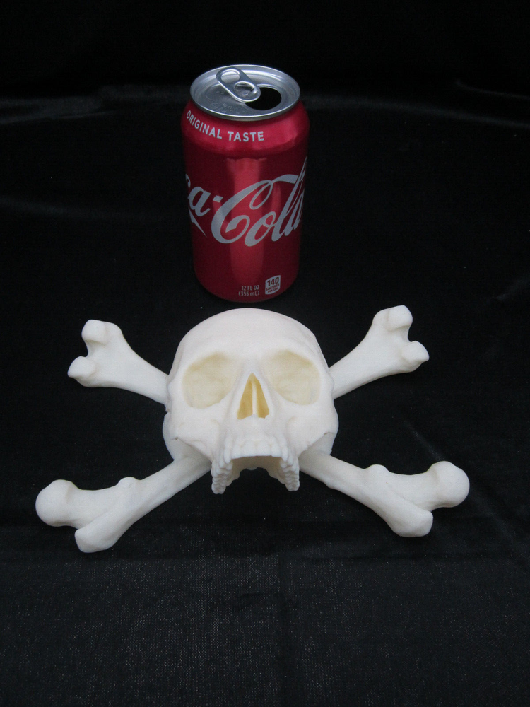 Pirate Skull and Cross Bones 3d Wall Art Display (Bone White)