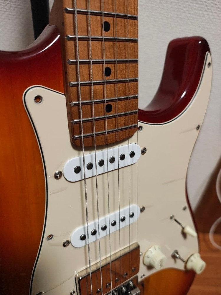 Bacchus GS-2DX RSM/M with modification