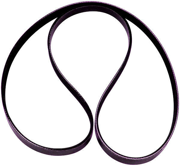 *New Replacement BELT* For Dynamic TB10 Exercise Bike