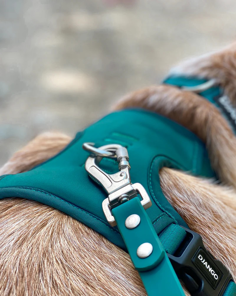 NWT Django Tahoe No Pull Dog Harness - Dark Teal Green