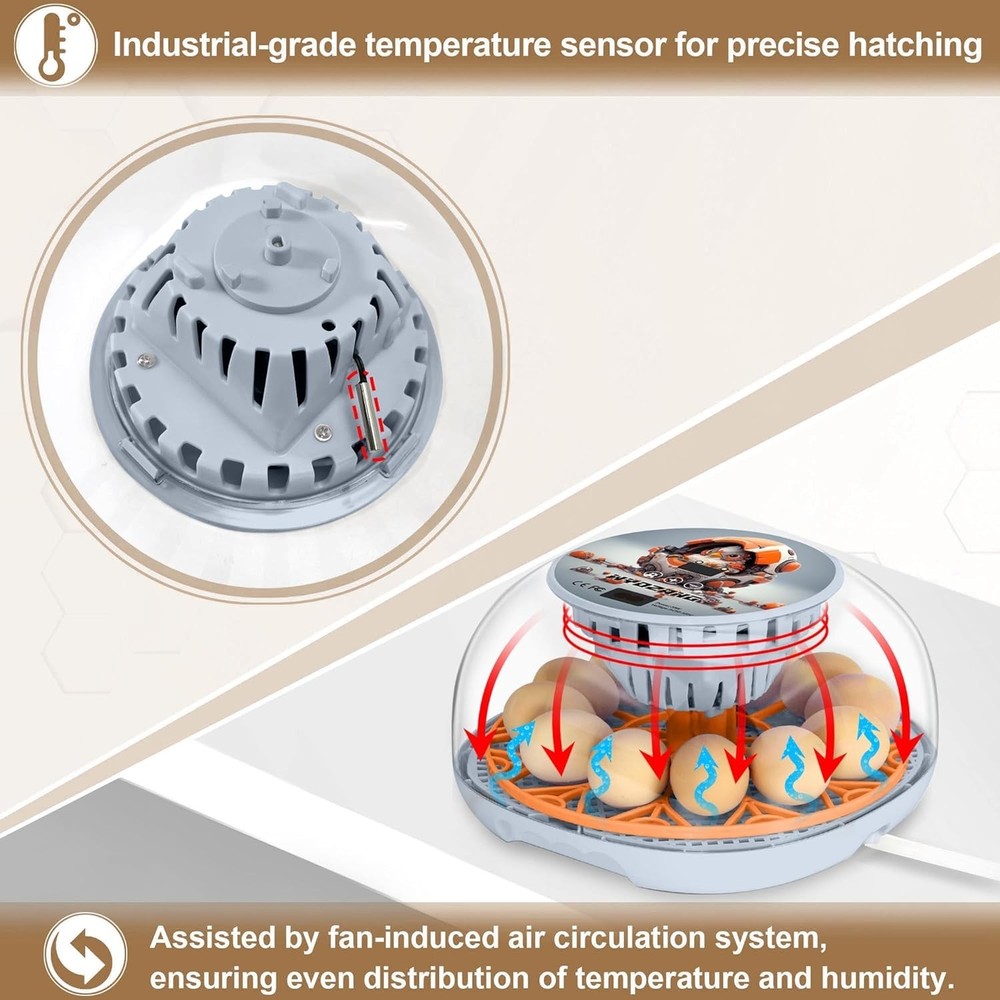 Automatic 12 Egg Incubator with Temperature Control - Ideal for Poultry Hatching