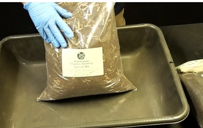 Worms Bedding Starter Kit Super Special Formula. 100% Organic. See Descriptions