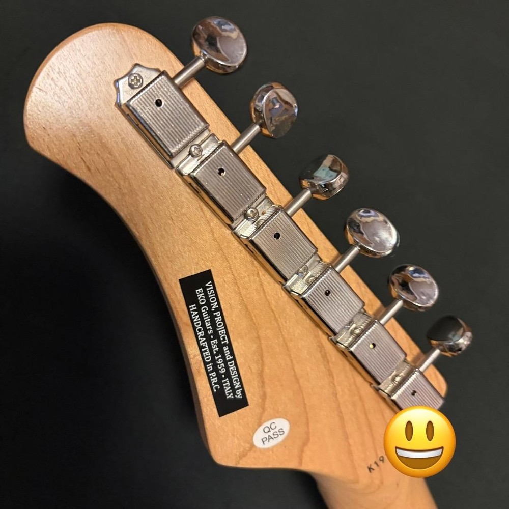 Eko Camaro Vr Hss With Case Condition Model