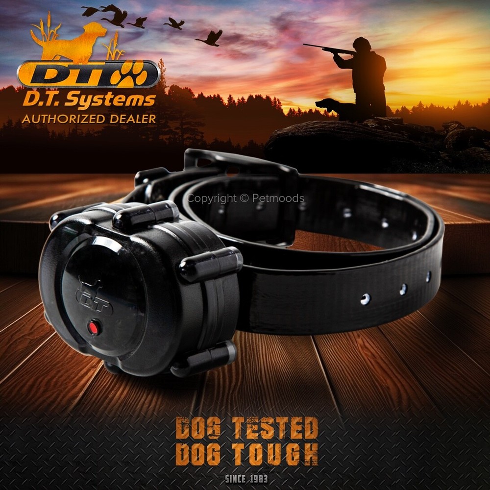 DT Systems Micro-iDT PLUS Expandable Dog Remote Trainer