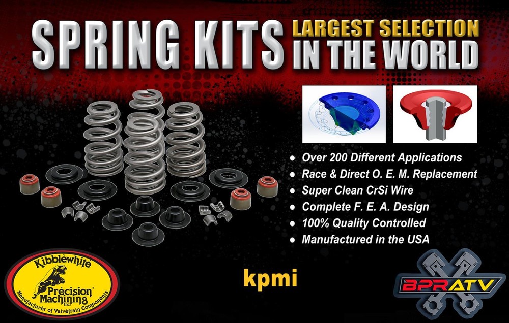 Suzuki DRZ400 Kibblewhite Titanium Spring Kit White Diamond Valves STD RED Seals