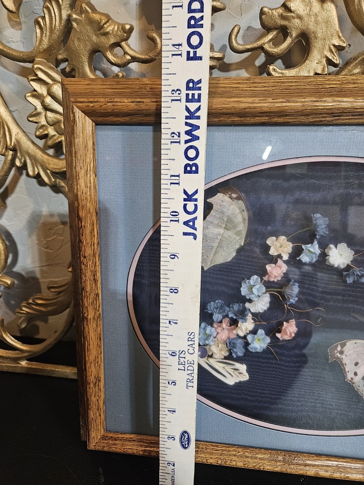 Butterfly And Shell Framed Art