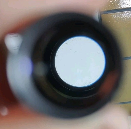 Nikon CFE 5x/18.6 Microscope Eyepiece Ocular