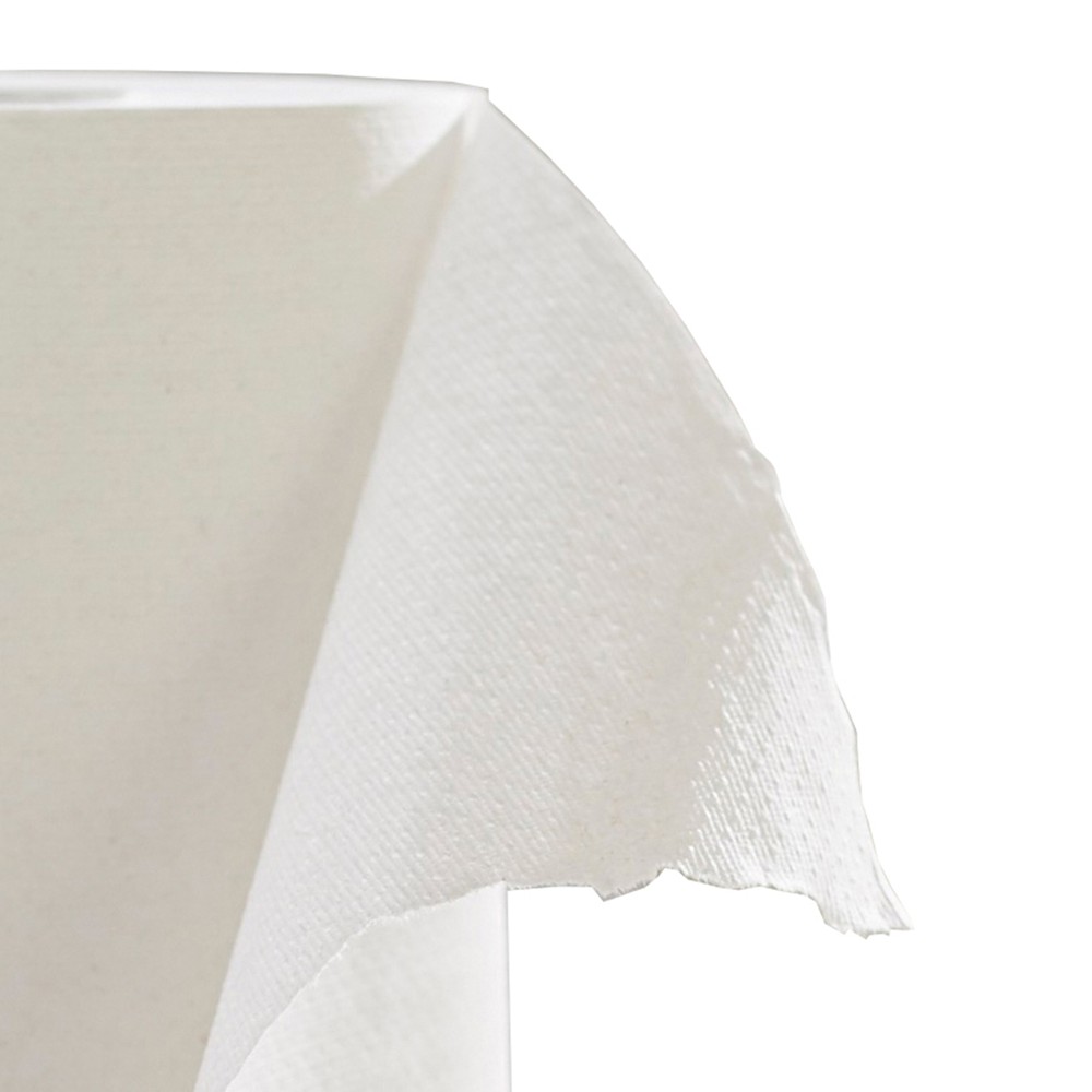 SofPull Paper Towel Hardwound Roll 1 Case(s) 1 Towels/ Case