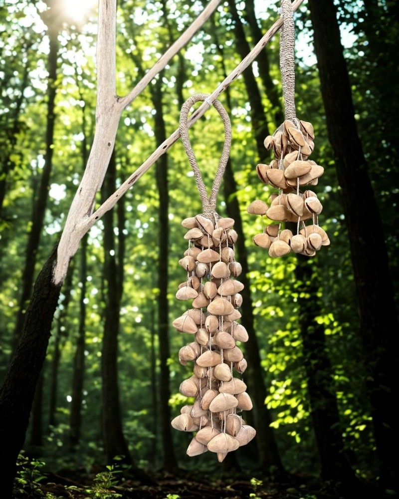 【Import Duties Apply】Natural Shell Hand Rattle Handmade Shaker Percussion Shaker